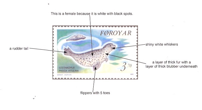 grey seal diagram